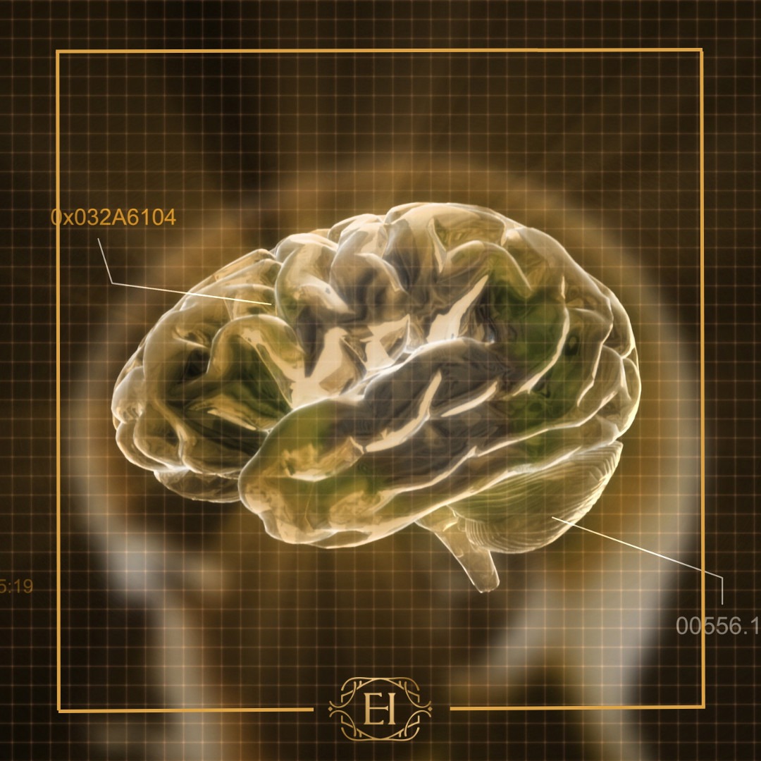 Kognitive Reserve: sechs Eckpfeiler für mehr Gehirngesundheit